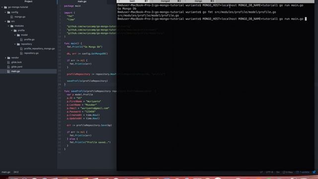 Tutorial CRUD. Golang & MongoDB #5 смотреть онлайн
