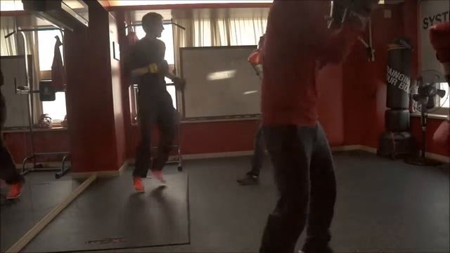 SYSTEMA KOREA | WCS - 303How block & strike смотреть онлайн