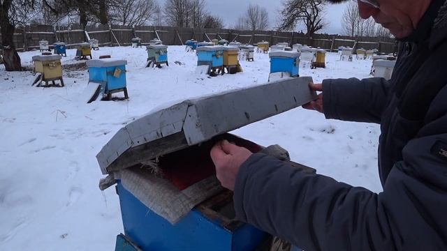 Увеличиваем Вентиляцию в январе. Слушаем Пчёл. Удаляем Подмор. смотреть онлайн