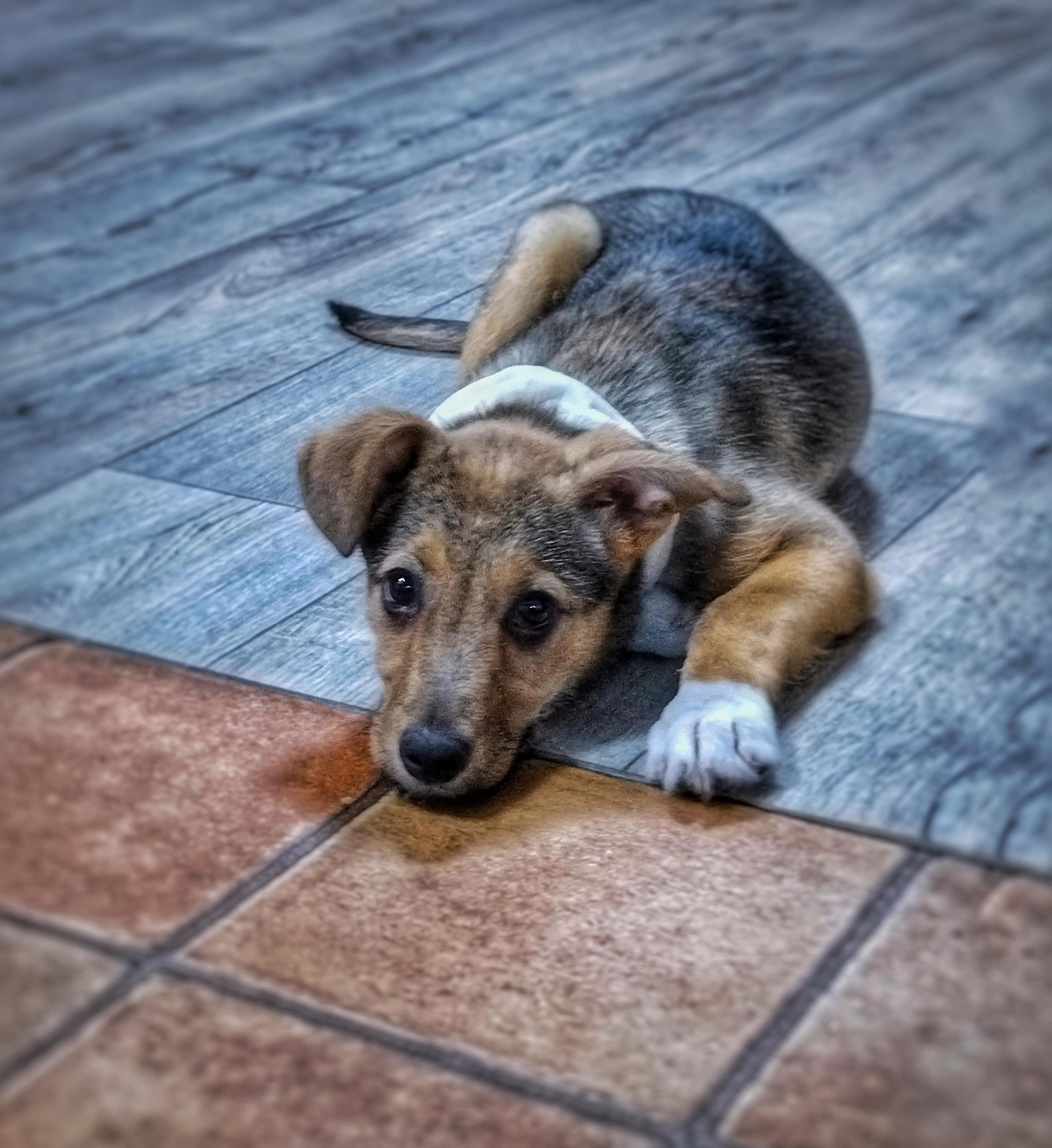 Голод ничто, жажда всё!.mp4