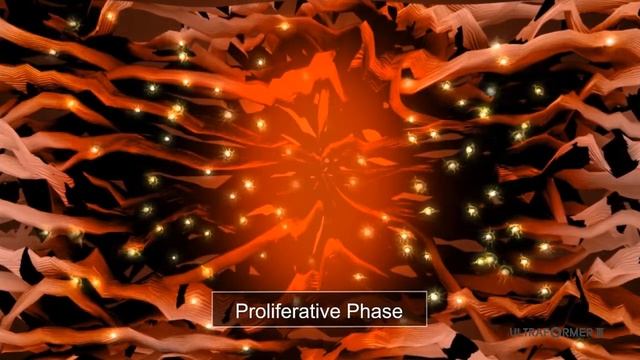 Ultraformer HIFU (High-Intensity Focused Ultrasound) 无创、无副作用、无恢复期，聚焦式超音波拉皮美容仪器。 смотреть онлайн