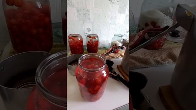 Вишневый компот? смотреть онлайн