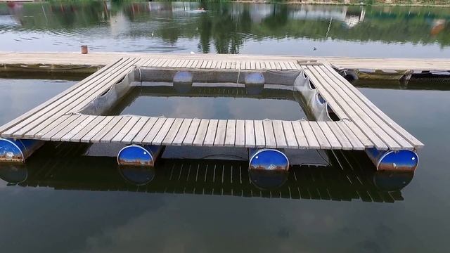 пруд, отдых,рыбалка,каргашино,пирогово,платная рыбалка,водная гладь, смотреть онлайн