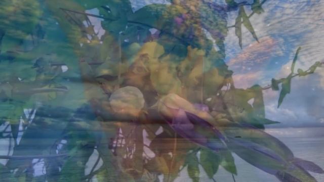 Мелодия небес смотреть онлайн
