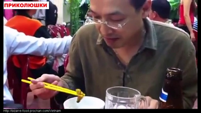 Китаец ест живых короедов смотреть онлайн