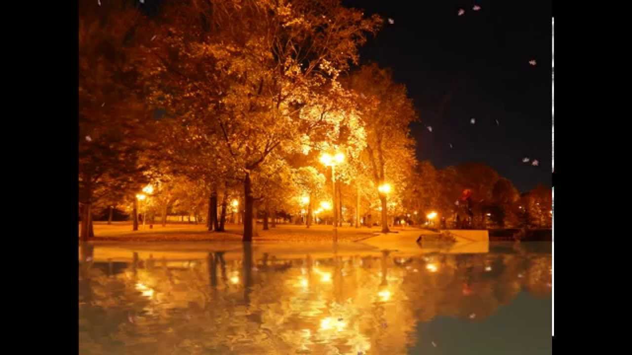 Футаж Осень в парке смотреть онлайн