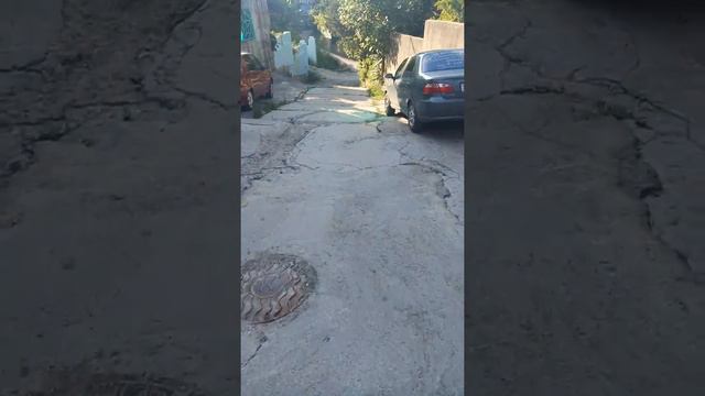 ОТДЫХ С СОБАКОЙ.СОЧИ 2019.ДЕНЬ 4.УТРО. ДОРОГА К МОРЮ. смотреть онлайн