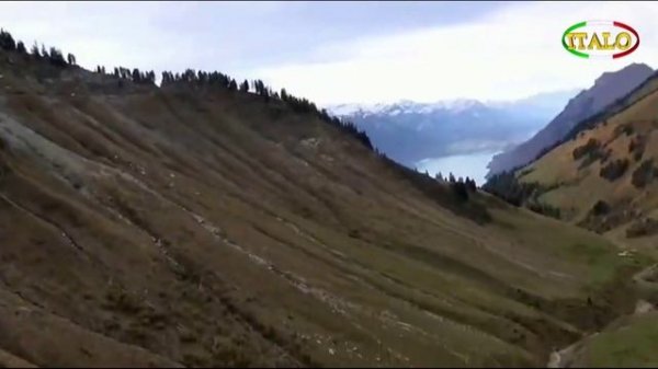 GRANT MILLER - California Train (1987).mp4