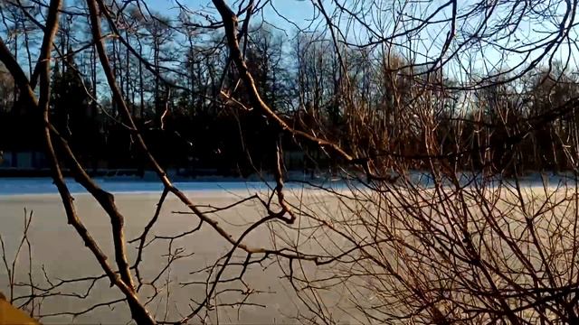 VID 20220321 182350 Маргарита 1910 (Н. Гумилев)...Павел Васильев Лахтинский смотреть онлайн