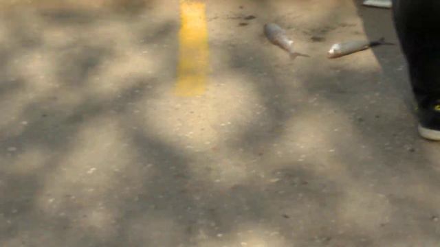 Вобла 2012.Дети .Вторая десятка*Full HD* смотреть онлайн