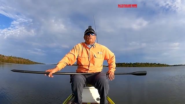 Gulp vs Pro-Cure смотреть онлайн