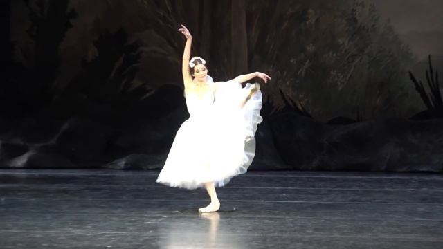 Сильфида, 31.03.2018 (Скворцов/Горячева) смотреть онлайн