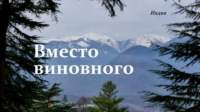 Вместо виновного.. (рассказ)