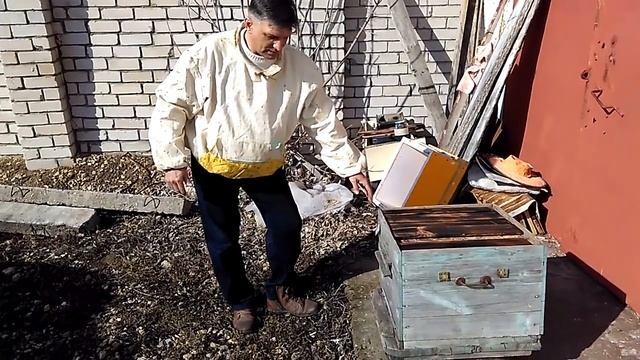 ПЧЕЛОВОДСТВО КАК ПЕРЕСТАВИТЬ УЛЕЙ ОТВЕТЫ НА ВОПРОСЫ Секреты начинающим пчеловодам от А до Я смотреть онлайн