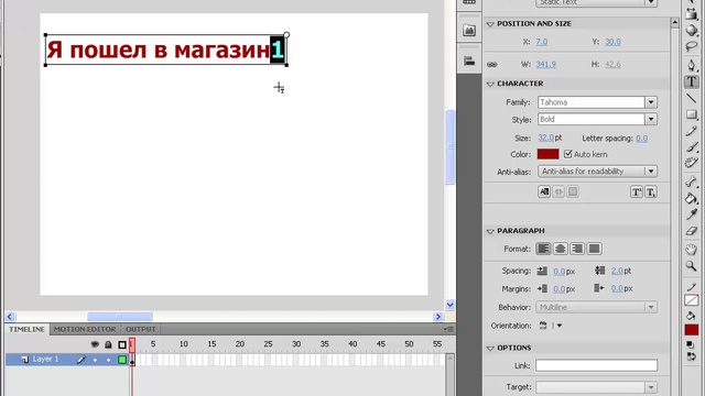 Adobe Flash CS4/CS5 и ActionScript 3.0 Полный курс  