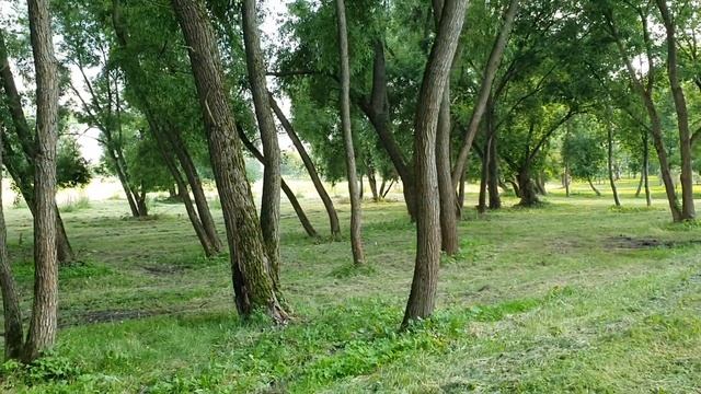 Лeна LIFE \ Лена и Ваня LIFE \ Лена не может без Марго! Обзор позорного стрима! \ Обзор влогов