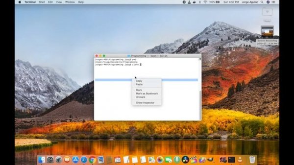 How to Clone a GitHub repository to your system, Mac or Linux Terminal