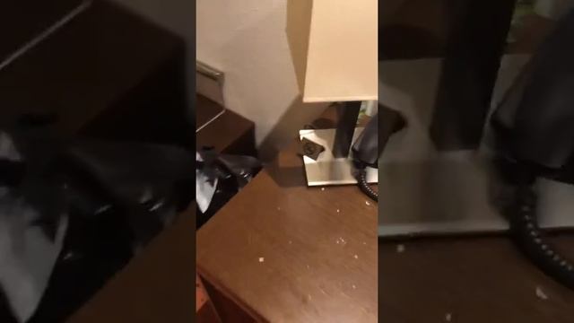 Клагенфурт, Австрия 18 год, небольшой отчет о поездке смотреть онлайн