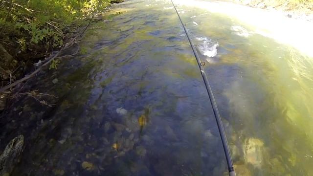 Верхний Кибрас, великолепная рыбалка на хариуса/Кузнецкий Алатау/Кемеровская рыбалка. смотреть онлайн