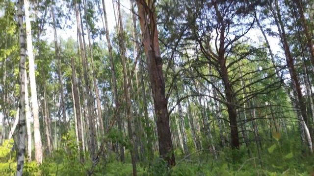 Деревенская жизнь, варенье из одуванчиков, витаминный салат!!! смотреть онлайн
