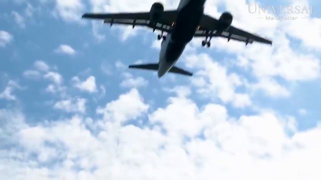 ERKAK YETISHMASLIGIDAN QIYNALAYOTGAN 8 TA DAVLAT // ERKAKLAR KAM DAVLATLAR