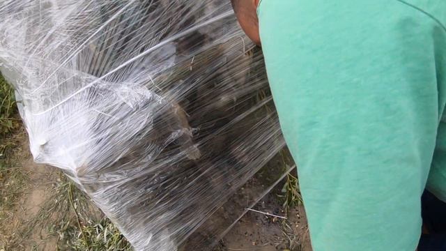 VLOG#7 Коптильня своими руками. Отдых с ребенком. Преимущества вигвама. ХАРАБАЛИ смотреть онлайн