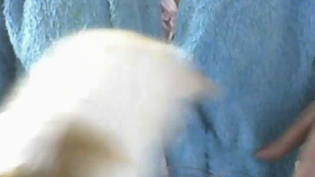 Откуда мне такое ЧУДО ЛЮБВИ ? смотреть онлайн