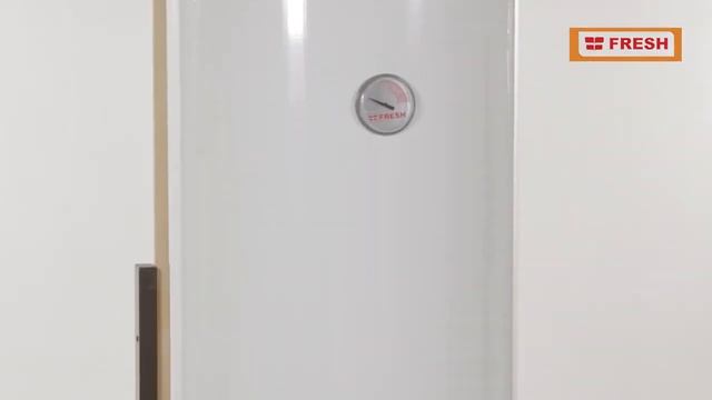 Обзор водонагревателя Atmor Fresh DOLPHIN V/F/E 50LT смотреть онлайн