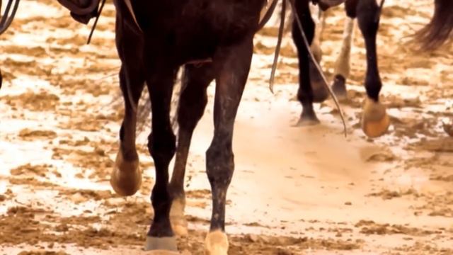 Why Animating Steel Ball Run Might Be Problematic смотреть онлайн