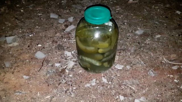 Дизайн и Графика