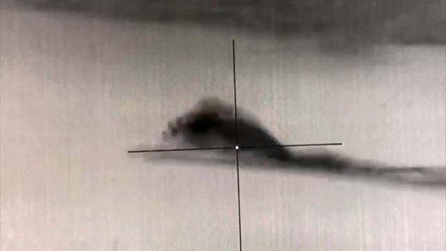 Зимняя охота на кабана с вышки смотреть онлайн