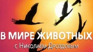В мире животных с Николаем Дроздовым 2005 г  Выпуск - 7
