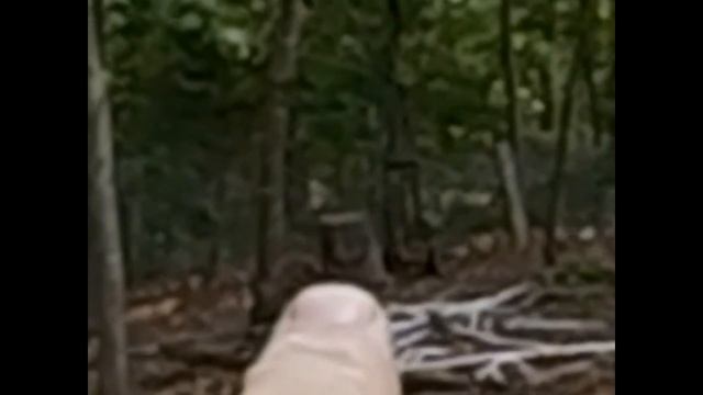 Barnett Recruit Crossbow over view and shooting. смотреть онлайн