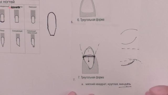 Прямая трансляция. Виды форм ногтевой пластины смотреть онлайн