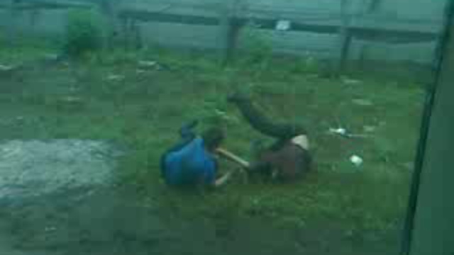 Супер борцы)))