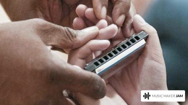 BLUES HARMONICA ( Pass on your gift, to others) смотреть онлайн