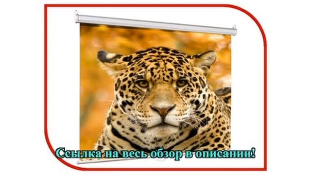 Экран Lumien Eco Picture LEP-100101 150x150cm