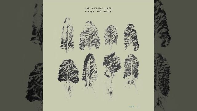 Black Pearl смотреть онлайн