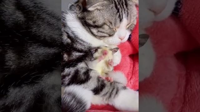 - Мне сказали мотать на ус, вот я и мотаю... смотреть онлайн
