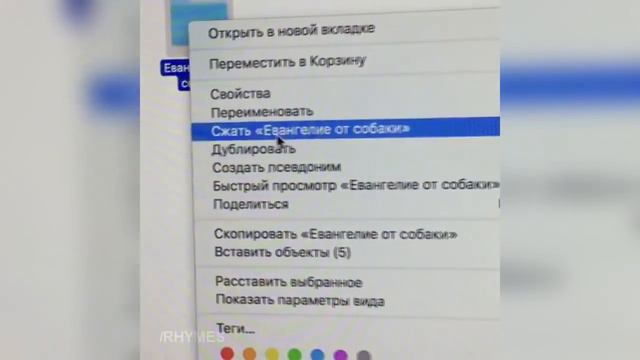 ХАСКИ УДАЛЯЕТ СВОЙ АЛЬБОМ смотреть онлайн