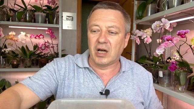 самый лучший ГРУНТ для ОРХИДЕЙ и во что лучше пересадить орхидею смотреть онлайн