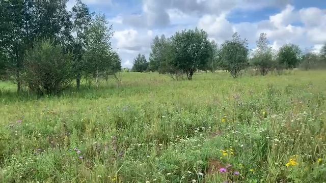 Видео 195760 смотреть онлайн