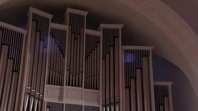 Органист Дмитрий Ушаков