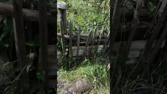 Забор, приготовление площадки видео 1(Начало) смотреть онлайн