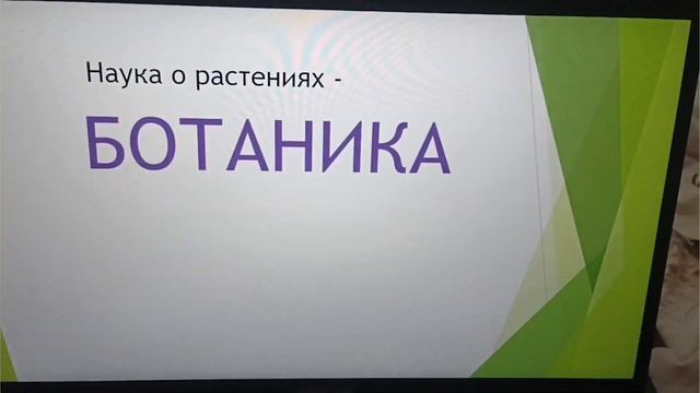 Педагогическая практика в школе / все ответы на вопросы / учитель начальных классов / смотреть онлайн