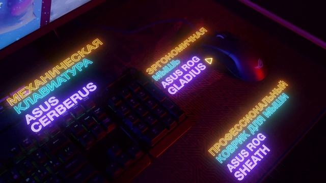 TOPGUN Production - Франшиза Colizeum Arena