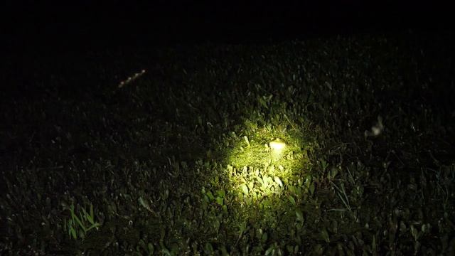 We Caught GIANT BULLFROGS with FISHING RODS! How To: CATCH, CLEAN, and COOK Delicious FROG LEGS!!! смотреть онлайн
