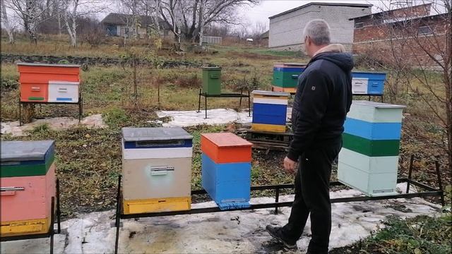 Какие летки оставлять в зиму для успешной зимовки смотреть онлайн