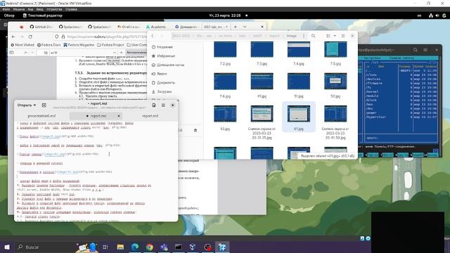 lab Informe смотреть онлайн