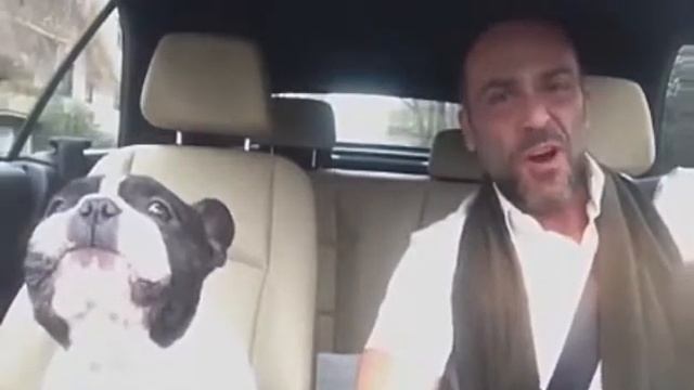 Собака поёт вместе с хозяином!? смотреть онлайн